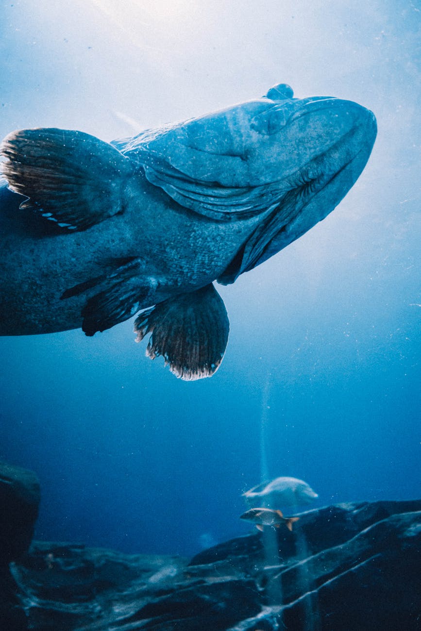 Unless the Lord Builds the House . . . 