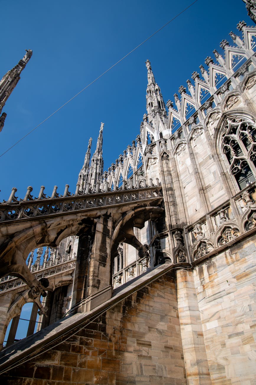 Purposeful Connections