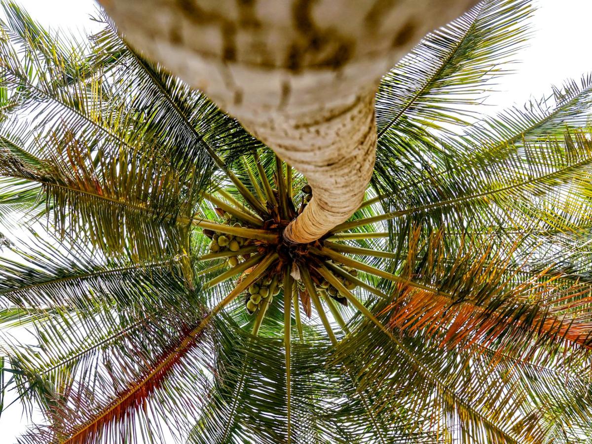 Vacations as an investment in&nbsp;rest