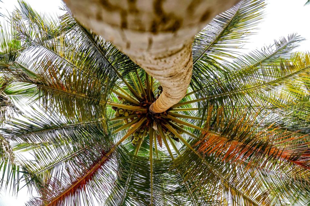 Vacations as an investment in&nbsp;rest